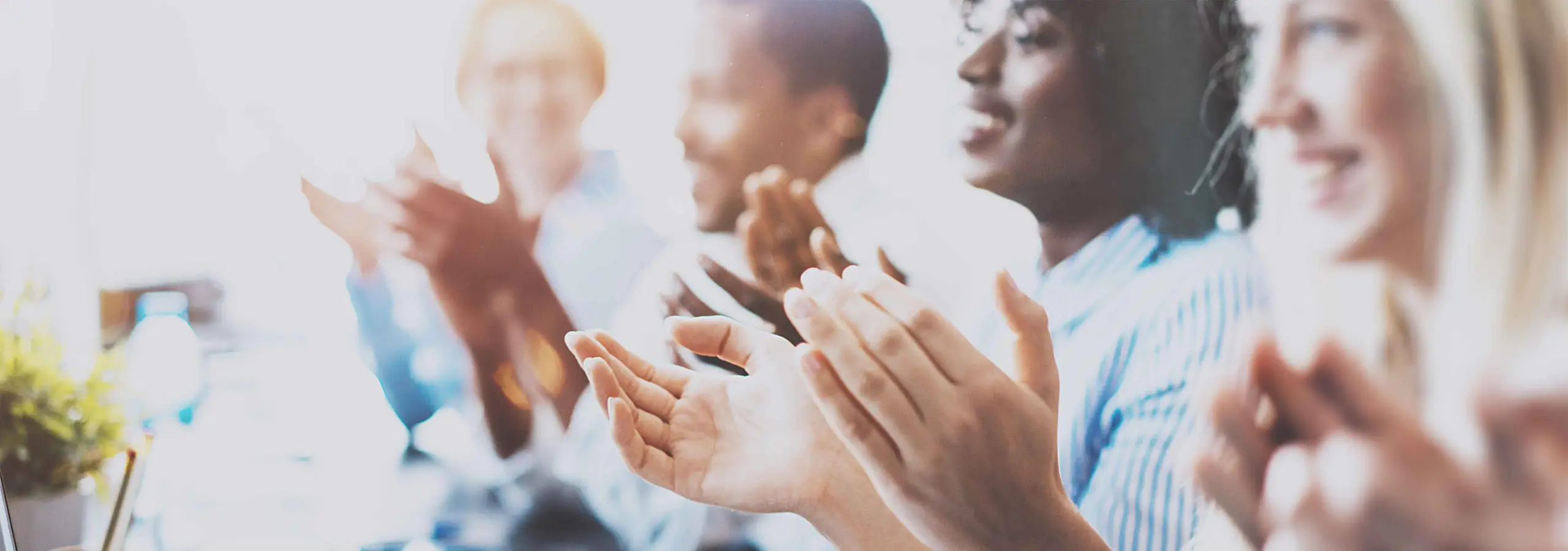 Organisationsberatung und systemische Organisationsentwicklung mit Coachingwerk