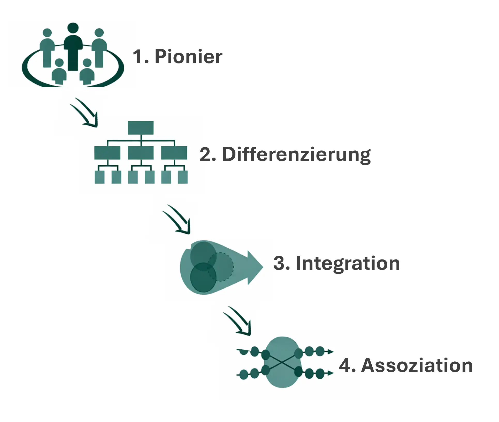 Systemische Organisationsentwicklung nach Trigon - 4 Entwicklungsphasen